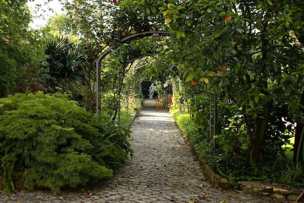 Quinta De Sao Lourenco Anadia Extérieur photo