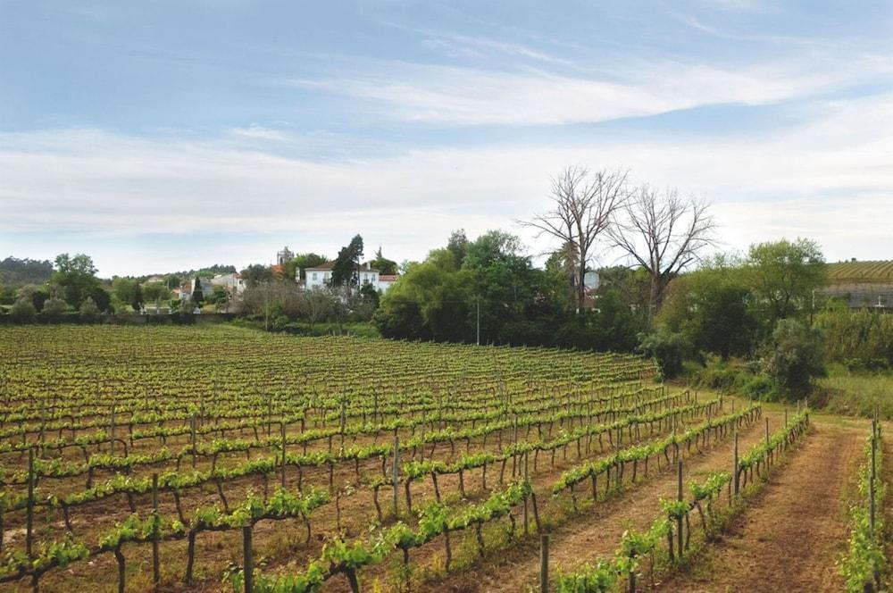 Quinta De Sao Lourenco Anadia Extérieur photo