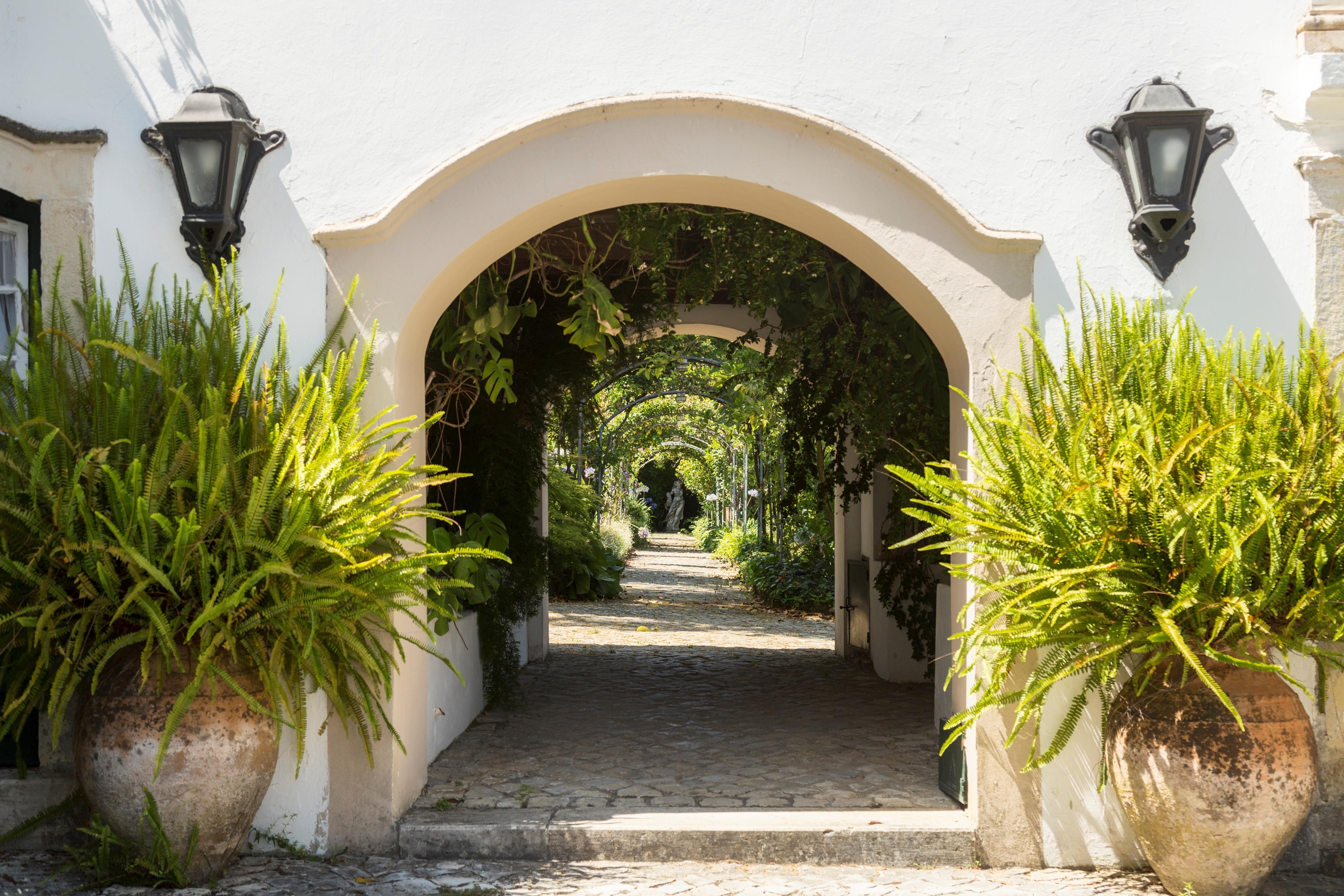 Quinta De Sao Lourenco Anadia Extérieur photo