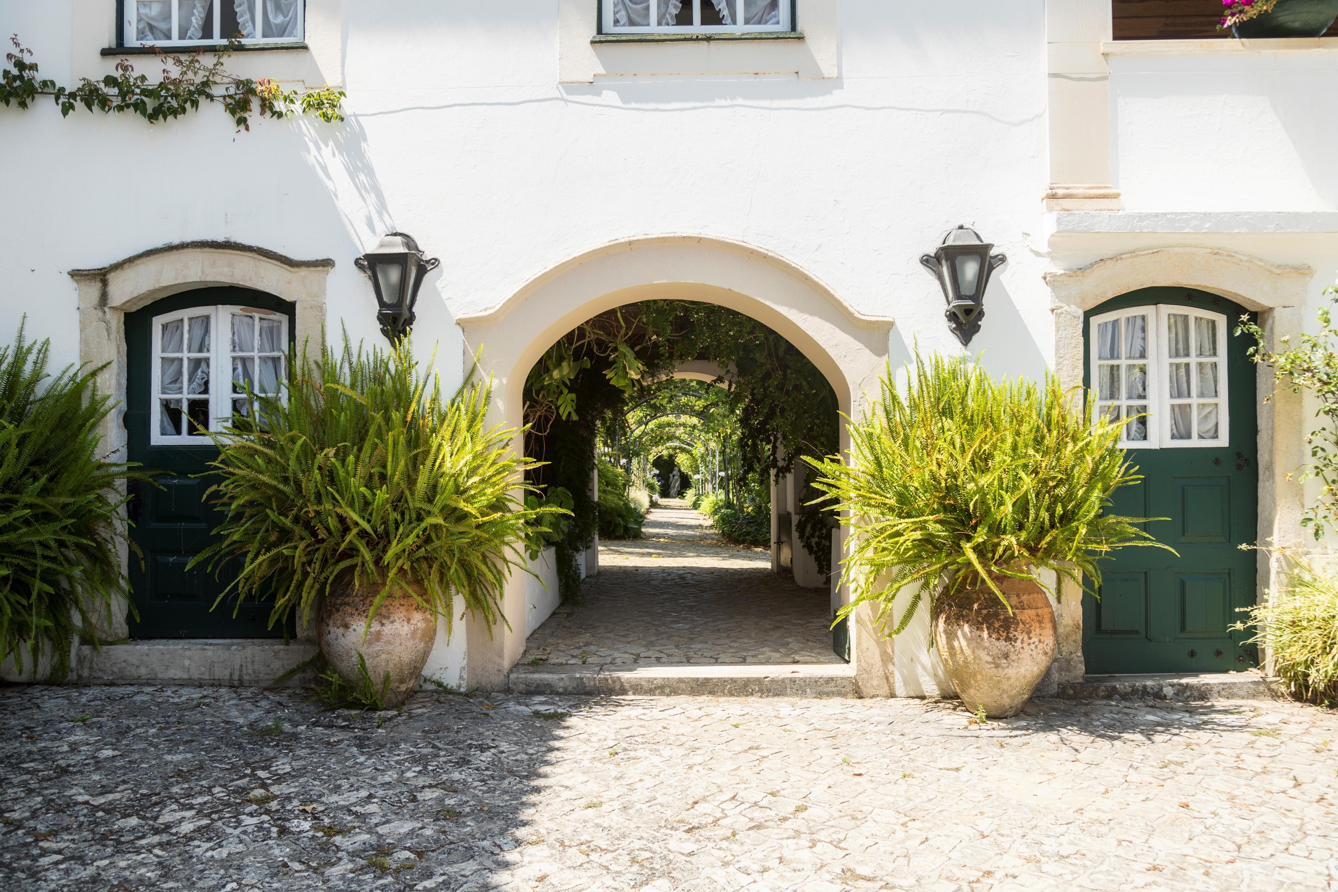 Quinta De Sao Lourenco Anadia Extérieur photo