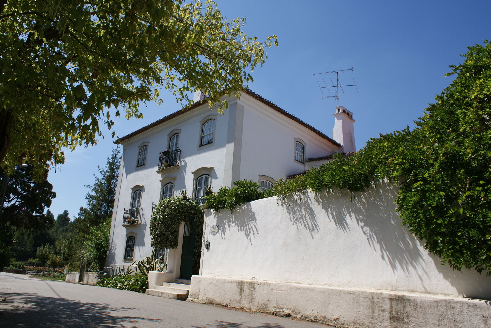 Quinta De Sao Lourenco Anadia Extérieur photo