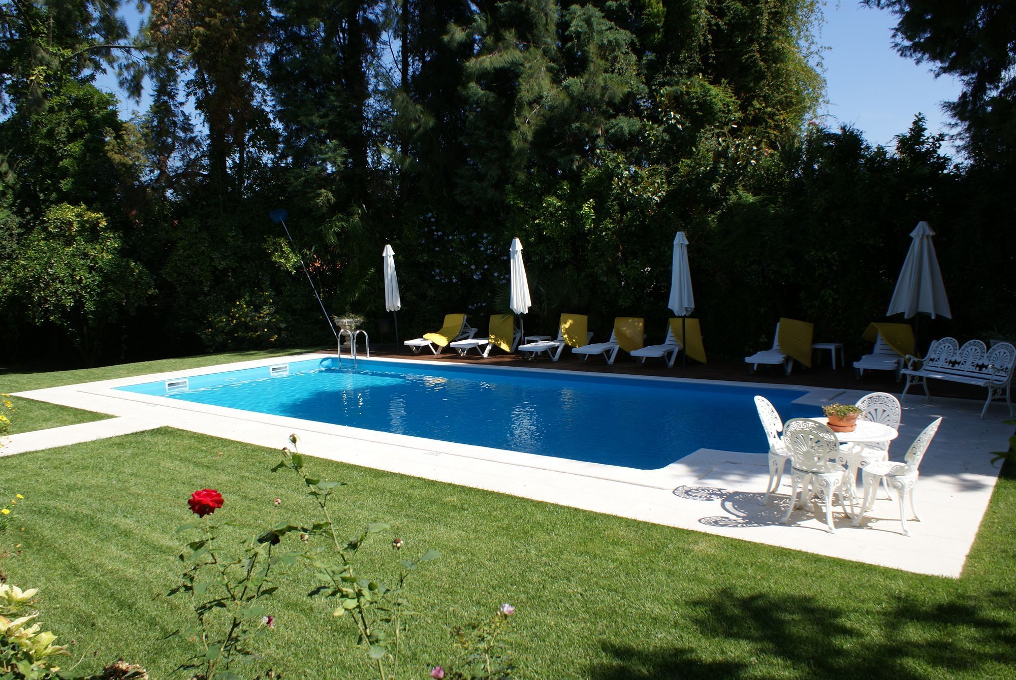 Quinta De Sao Lourenco Anadia Extérieur photo
