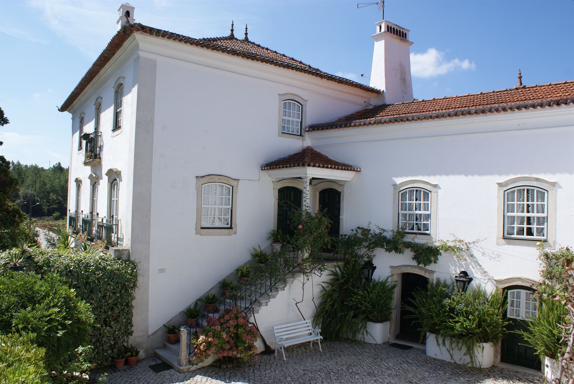 Quinta De Sao Lourenco Anadia Extérieur photo