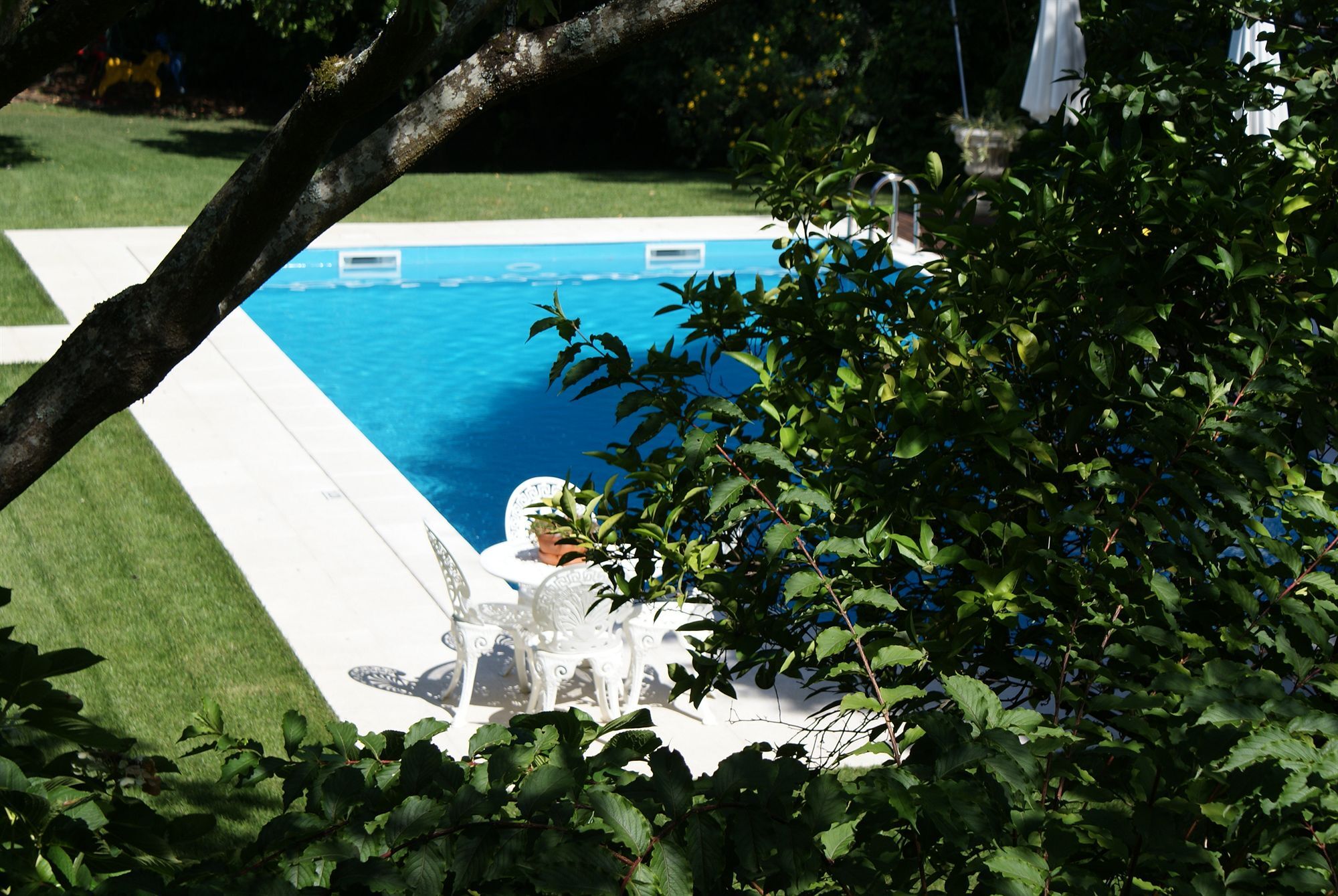 Quinta De Sao Lourenco Anadia Extérieur photo